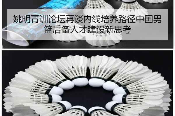 姚明青训论坛再谈内线培养路径中国男篮后备人才建设新思考